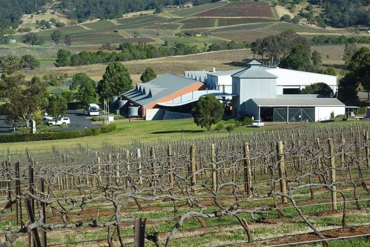 una granja con un montón de vides en un campo