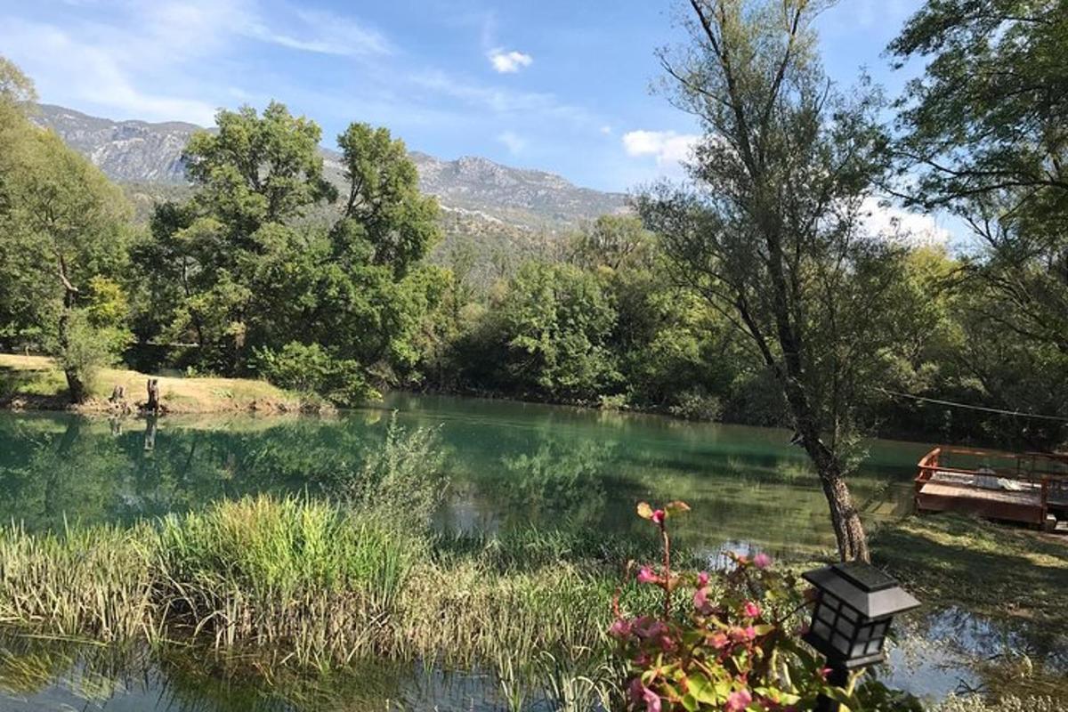 una vista di un lago con una panchina e degli alberi