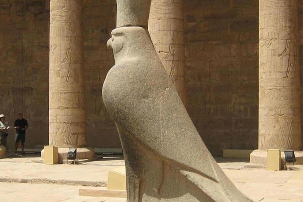 een standbeeld van een vogel in een gebouw met zuilen