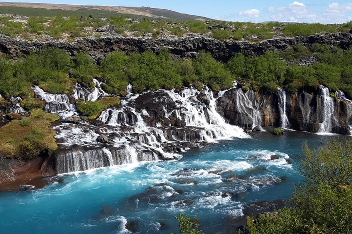 hópur fossa í á með trjám