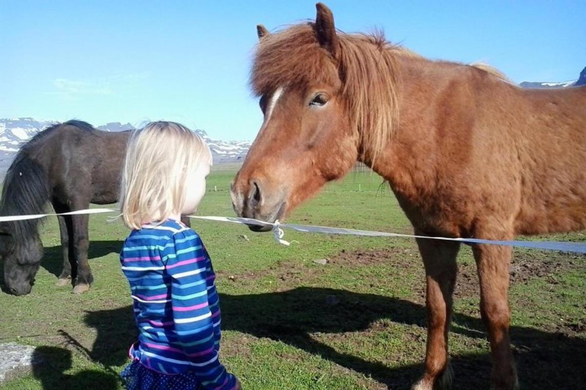 una bambina in piedi accanto a un cavallo marrone