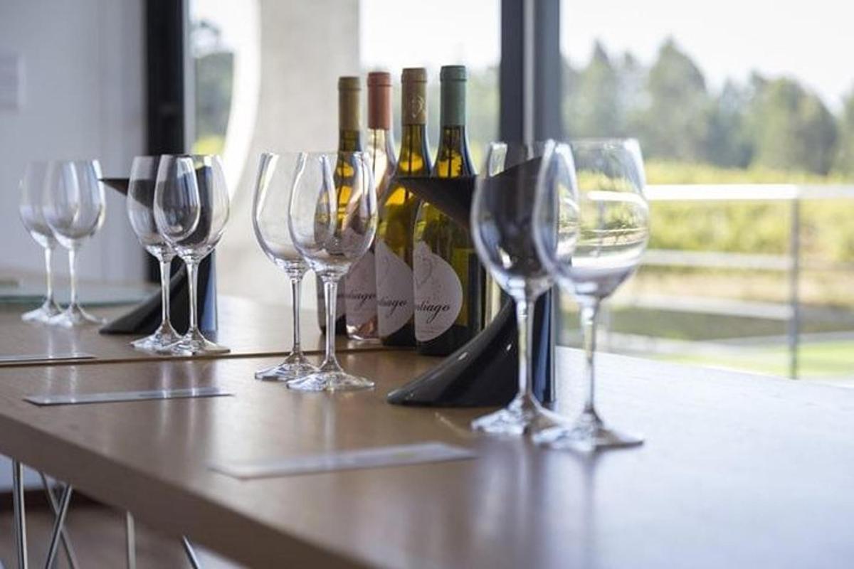 Un grupo de copas de vino en un mostrador con botellas de vino.