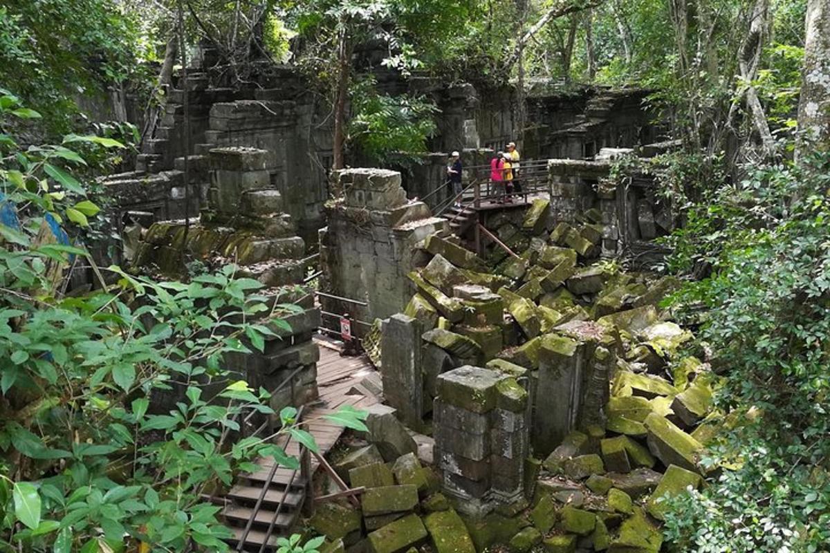 un gruppo di persone che camminano su un sentiero in una foresta