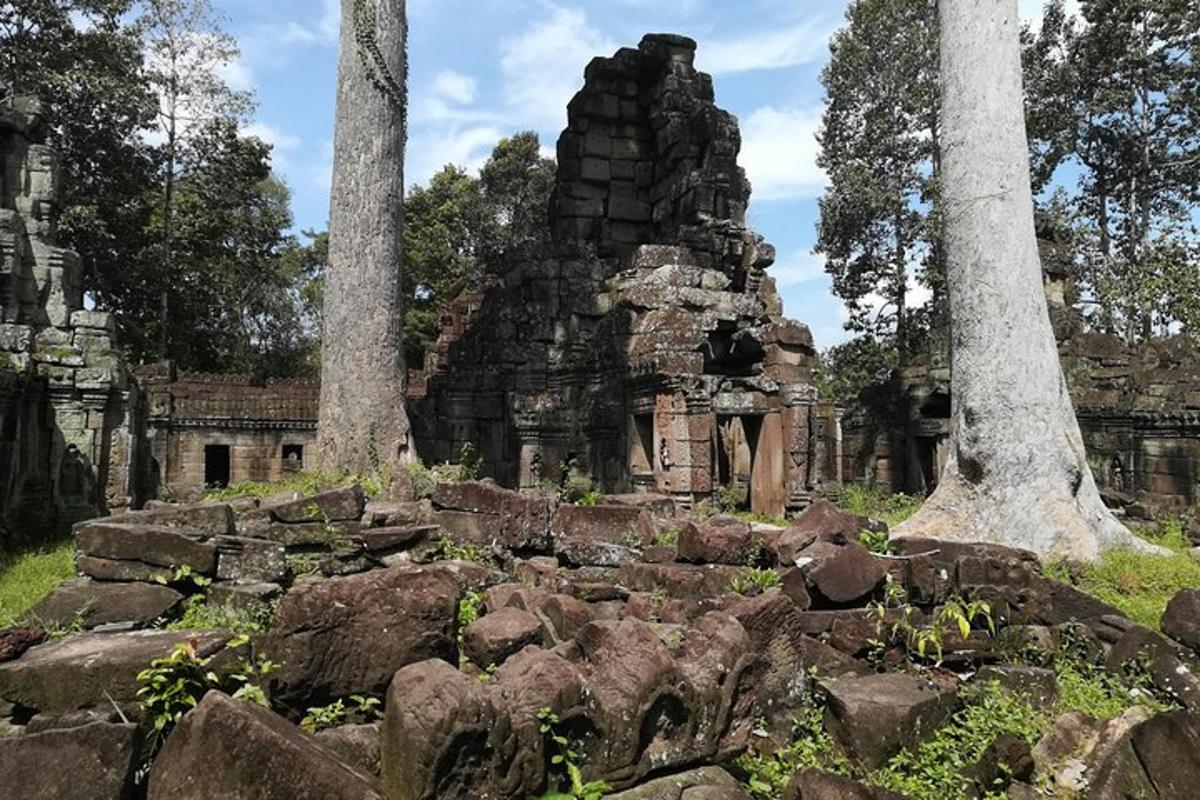 a ruins of an old building with trees