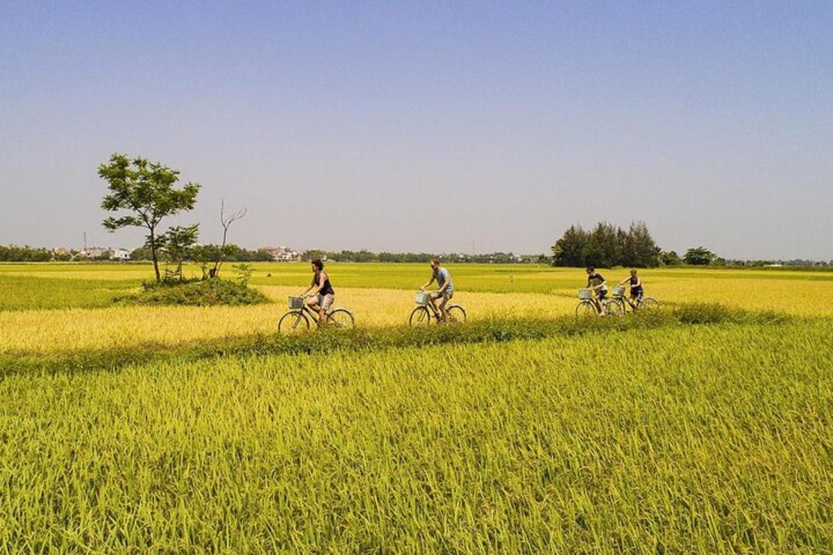一群人在田野里骑自行车