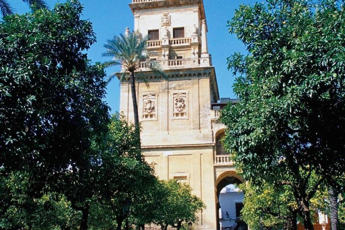 um edifício alto com uma palmeira na frente