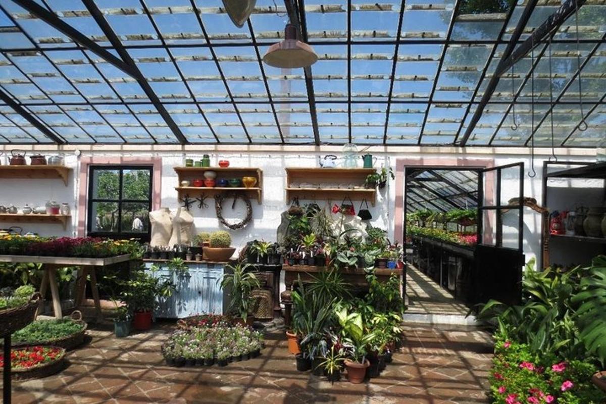 a greenhouse filled with lots of plants and flowers