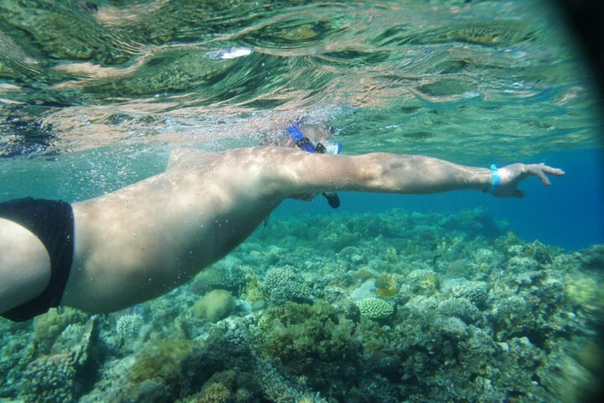 un uomo che nuota nell'acqua vicino a una barriera corallina
