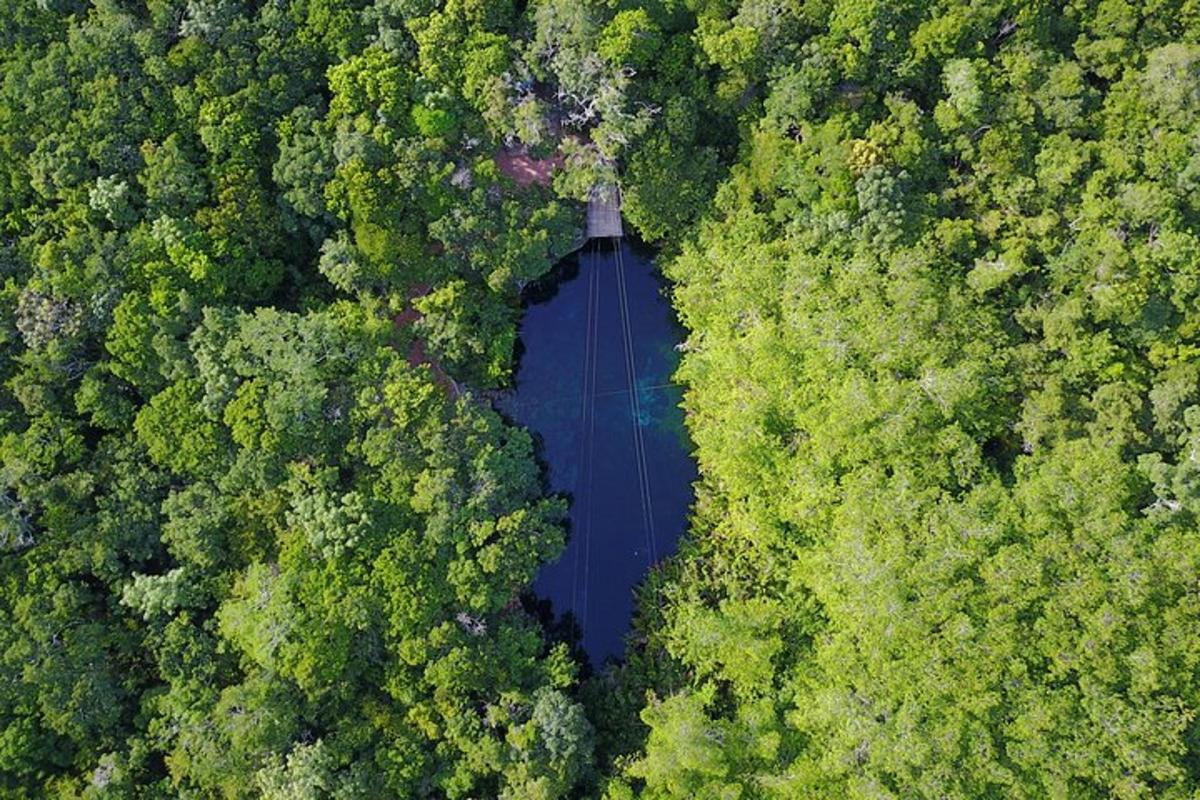 uma vista aérea de um lago no meio de uma floresta