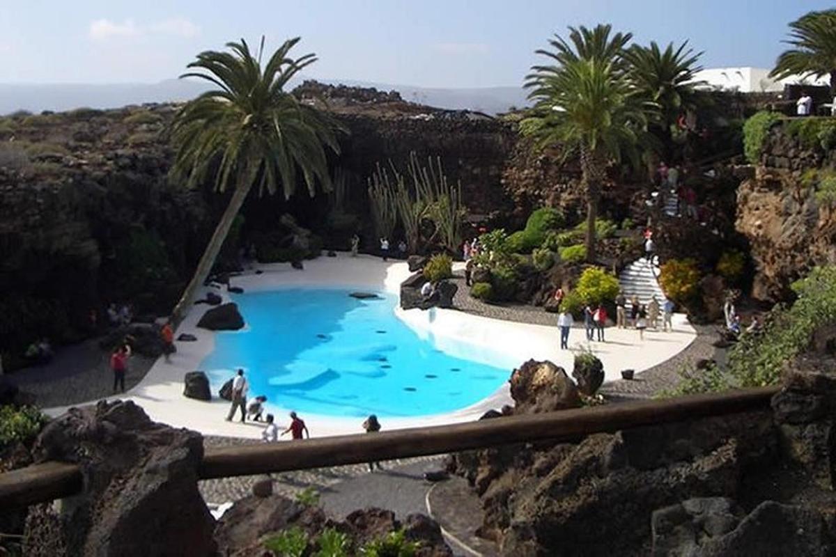 people in a swimming pool in a park with palm trees