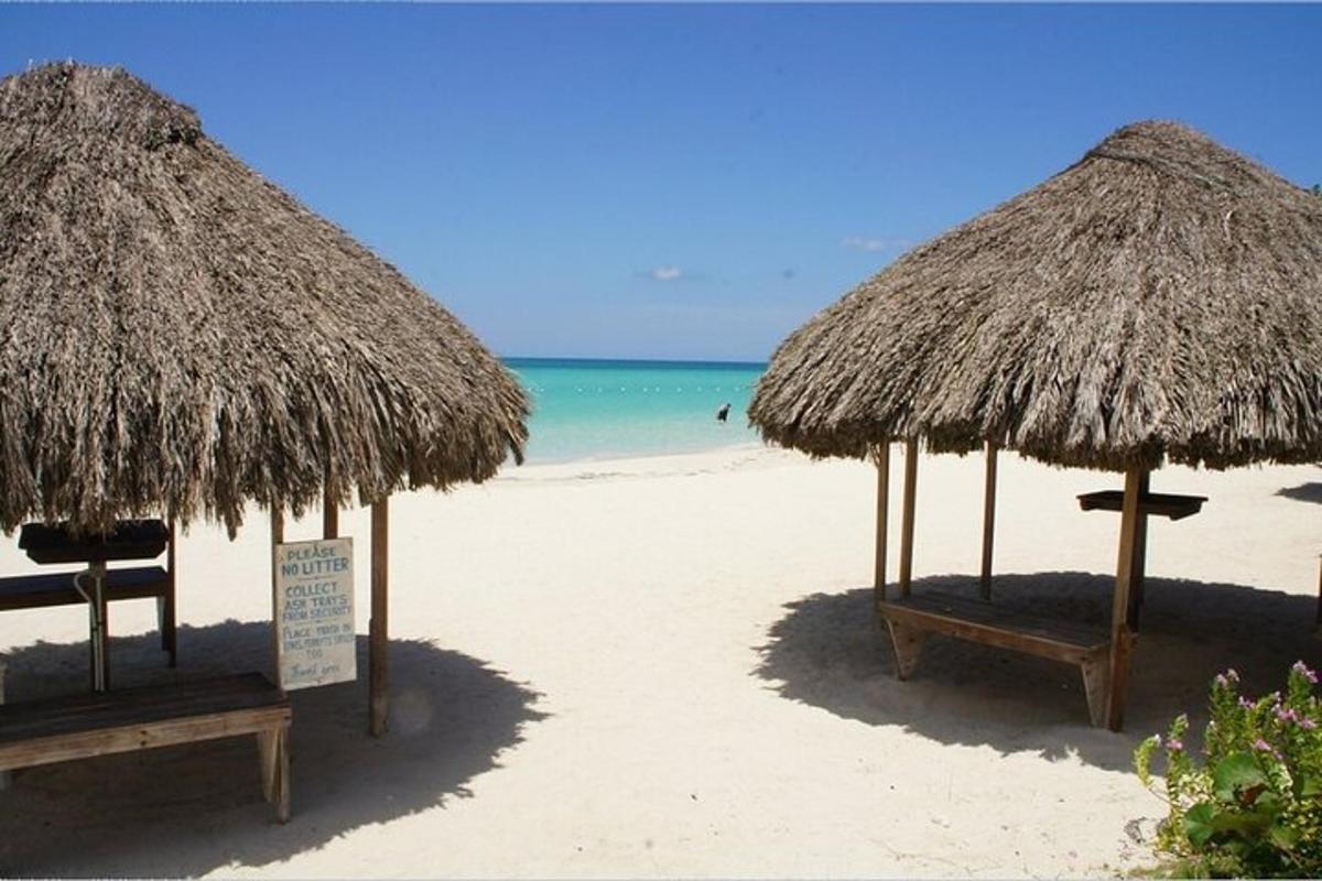 due ombrelloni di paglia su una spiaggia con l'oceano