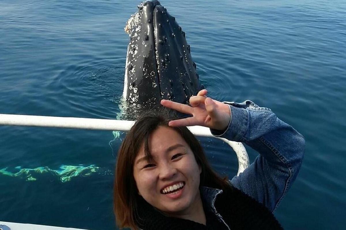 a girl on a boat with a whale in the water
