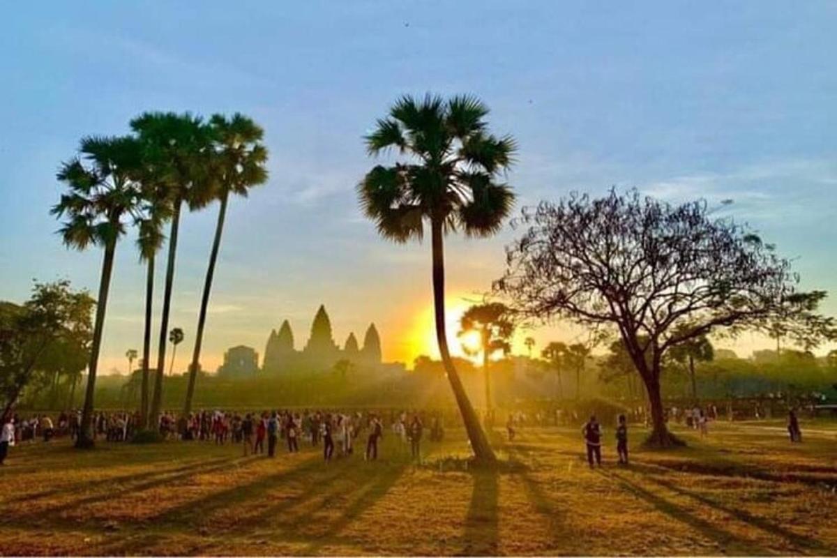 a group of people standing in a field with palm trees