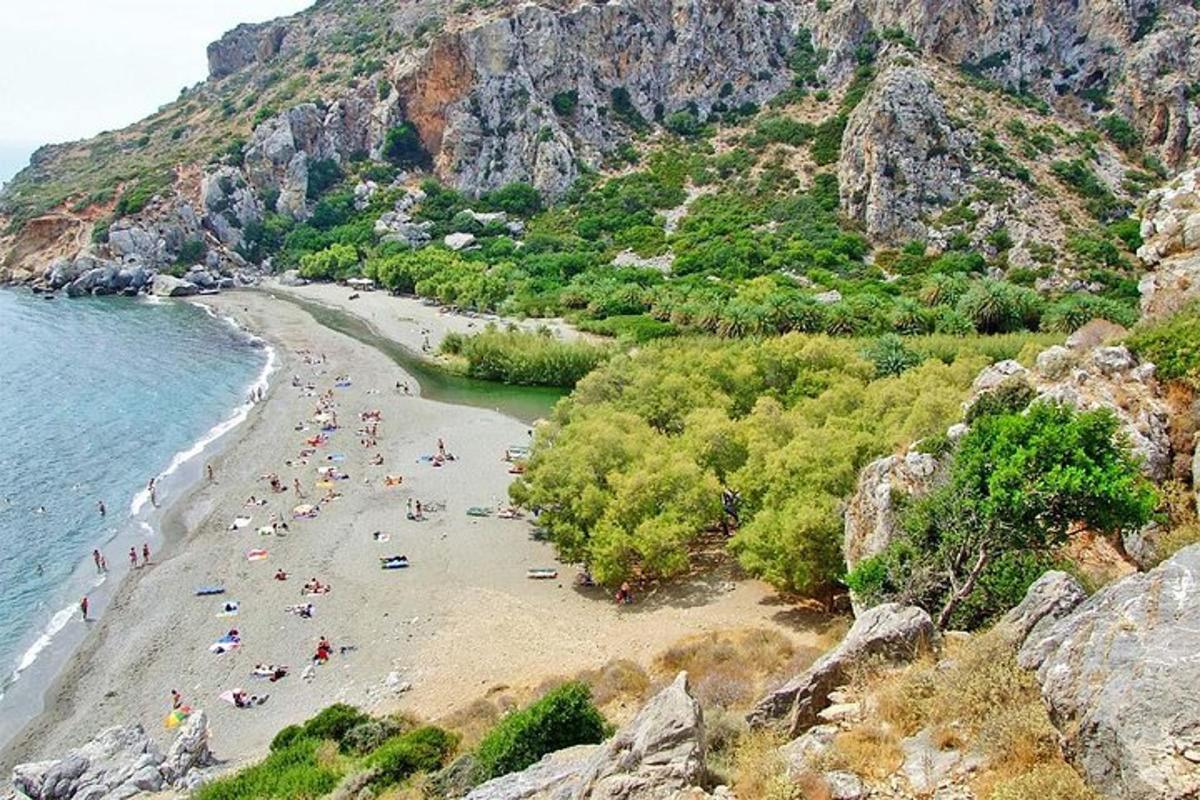 un grupo de personas en una playa cerca del agua