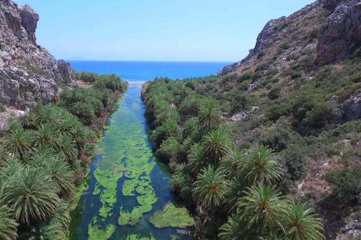 Una vista aérea de un río con palmeras.