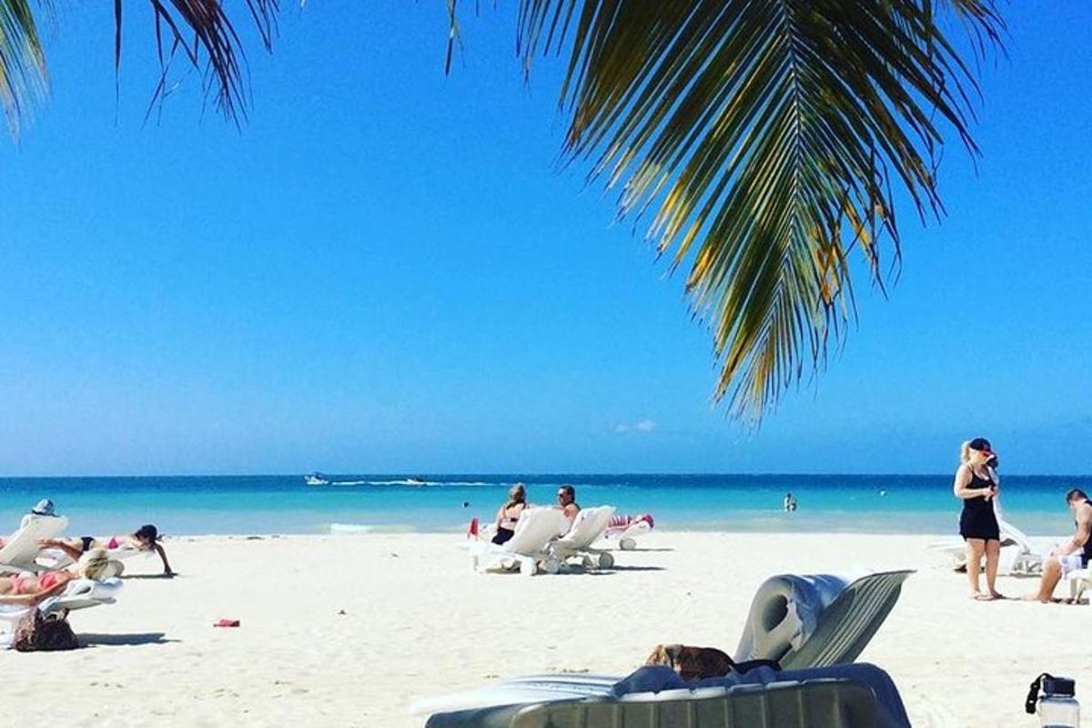 un gruppo di persone su una spiaggia con l'oceano