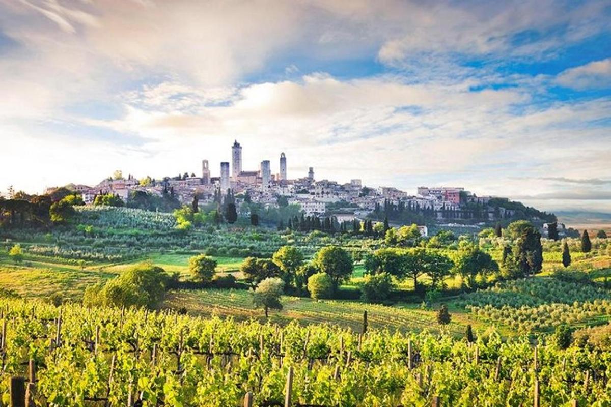 mesto na vrchole kopca s vinicou