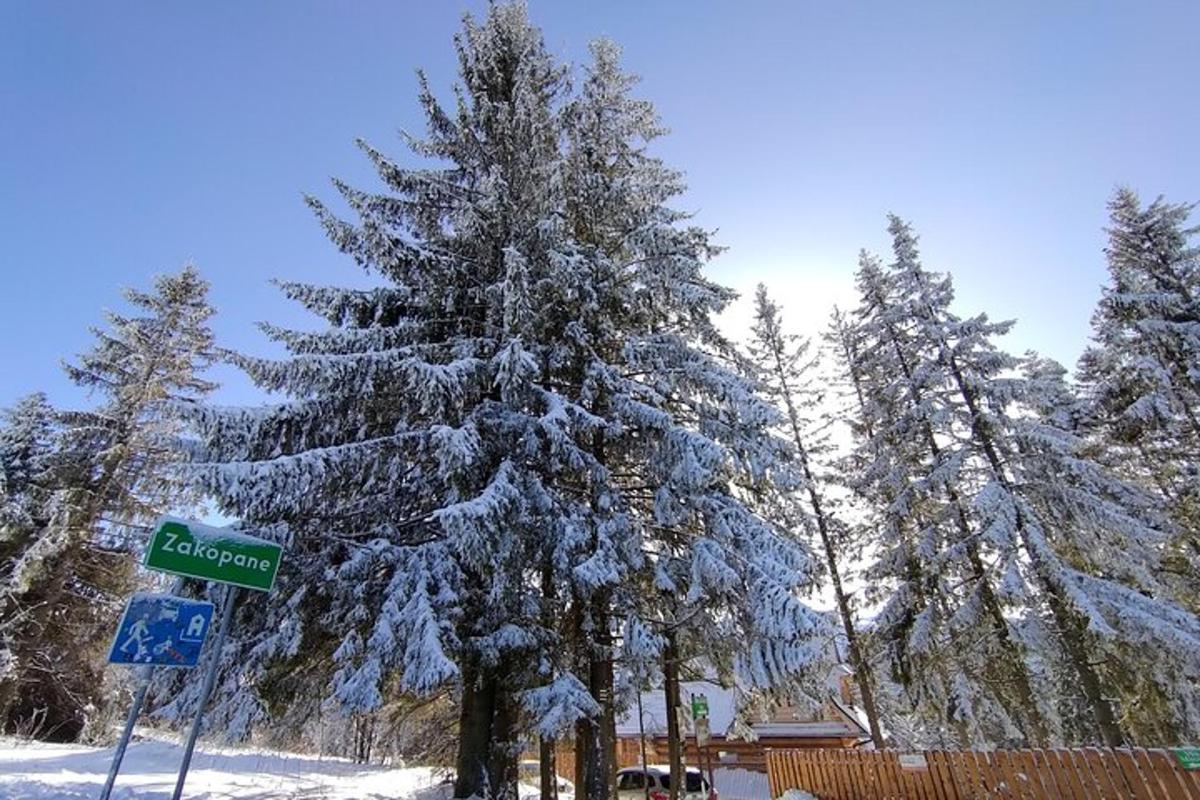 zasněžený strom s dopravní značkou vedle něj