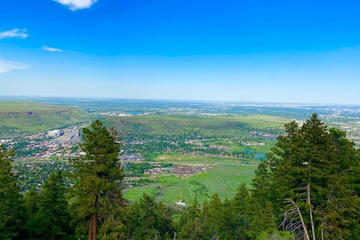 a view from the top of a hill with trees
