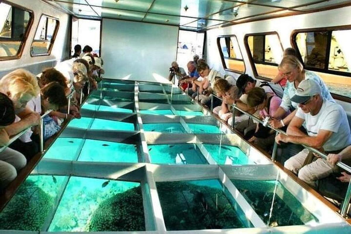 skupina lidí sedících v autobuse se skleněnou podlahou