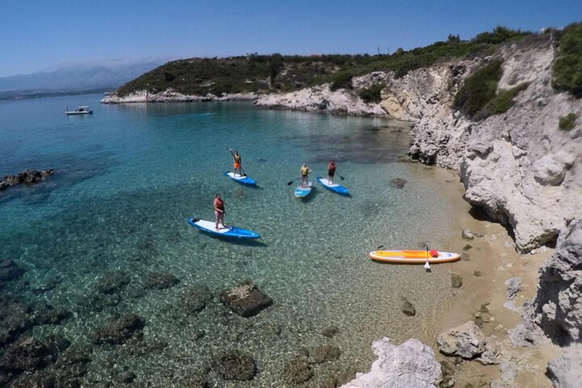 a group of people on paddle boards in the water