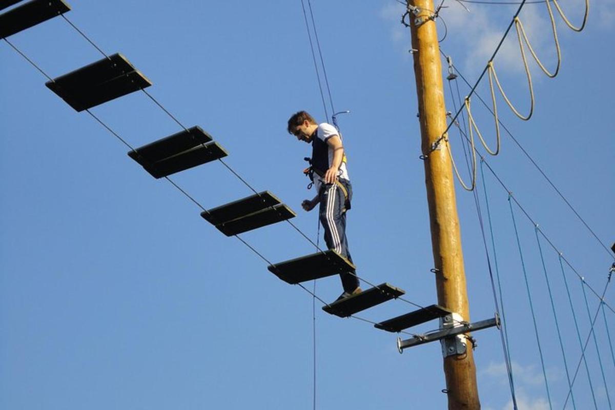un home treballant en un pal d'electricitat