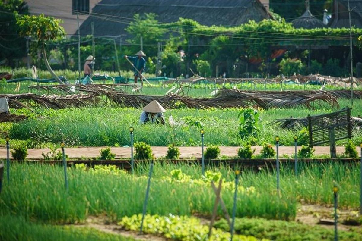 a garden with a bench in a field of plants