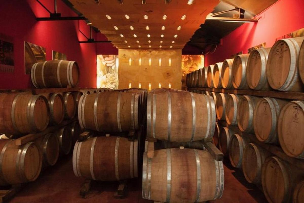 una fila di botti di legno in una cantina vinicola