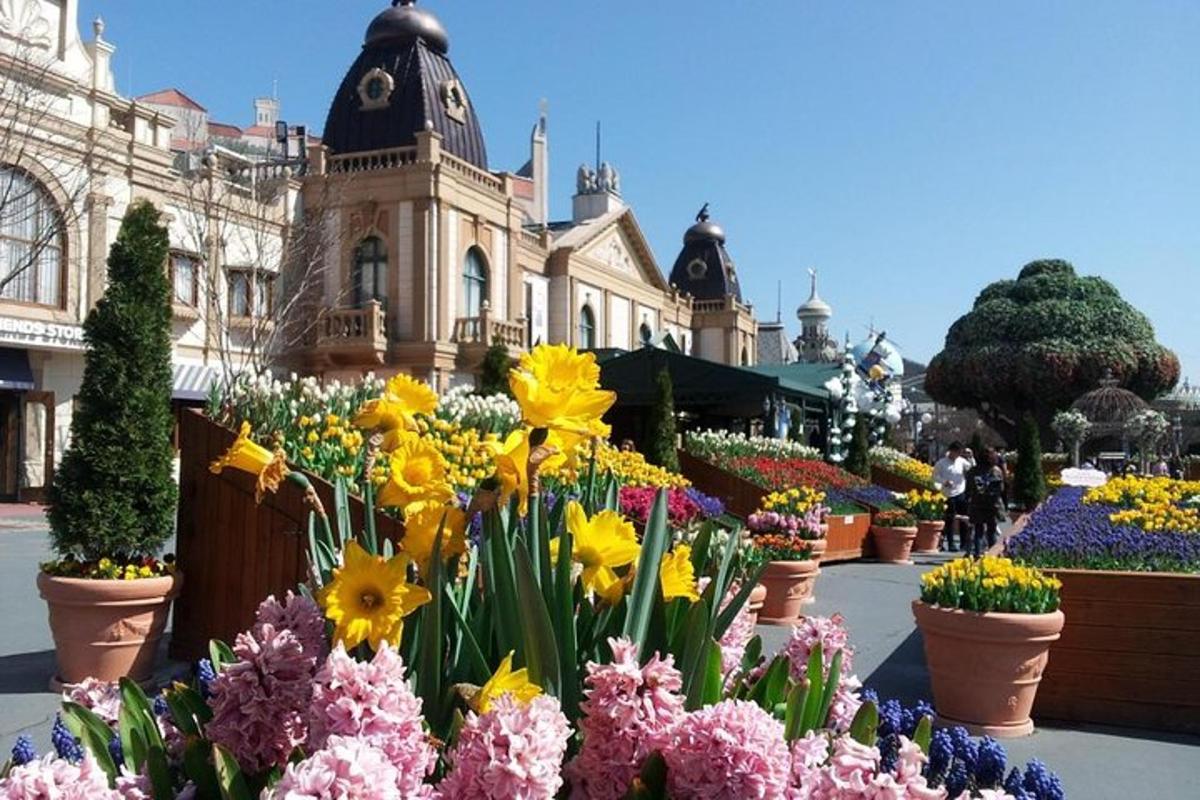a display of flowers in front of a building
