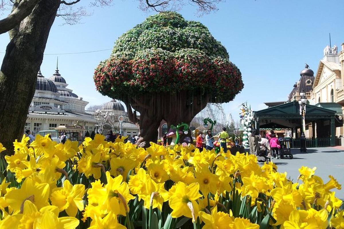 a bunch of yellow flowers in front of a tree
