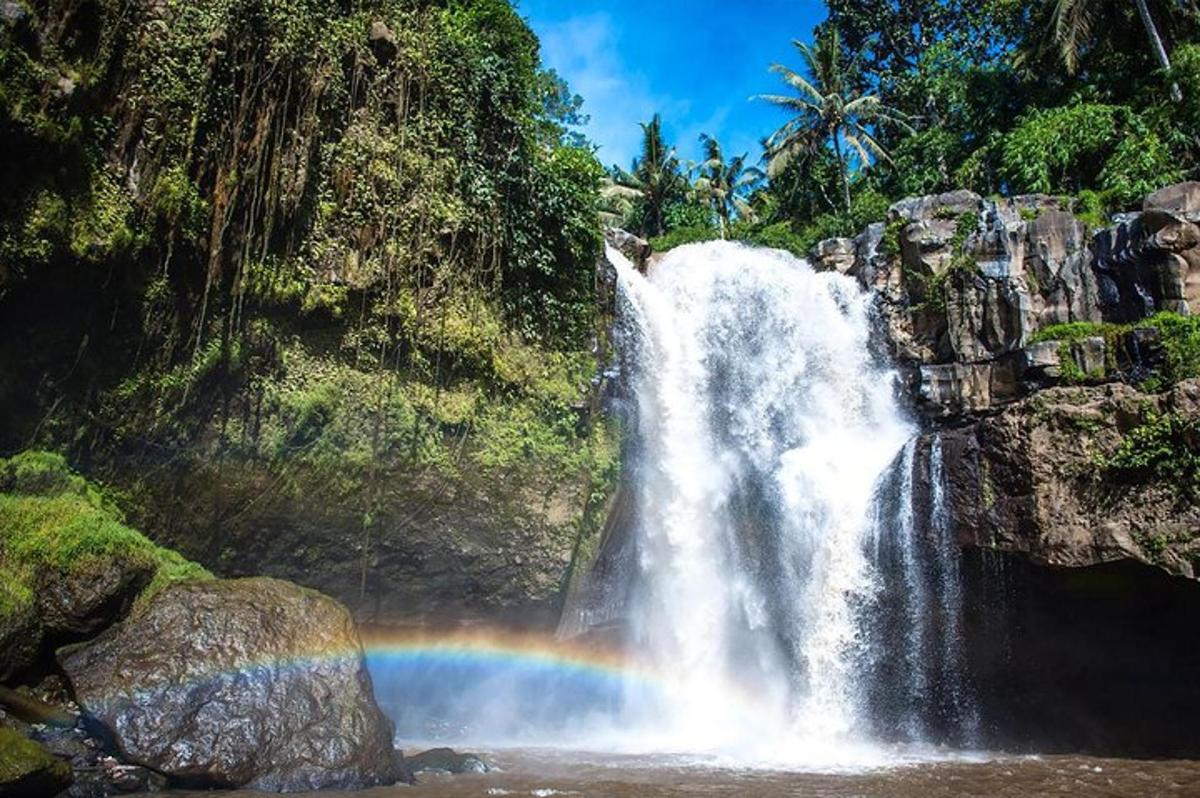 um arco-íris em frente a uma cachoeira na selva