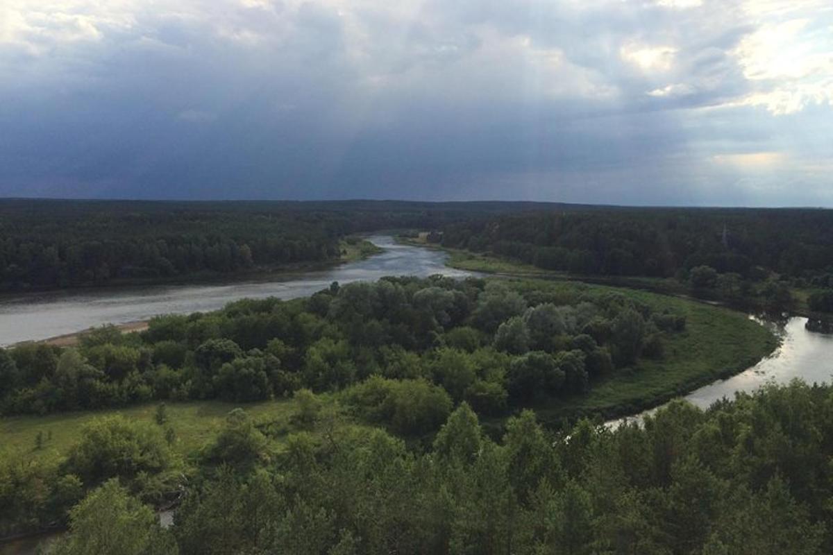 an aerial view of a river with trees
