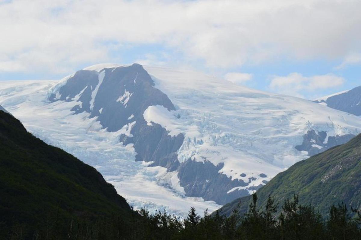 stórt snæþakið fjall í miðjum dal
