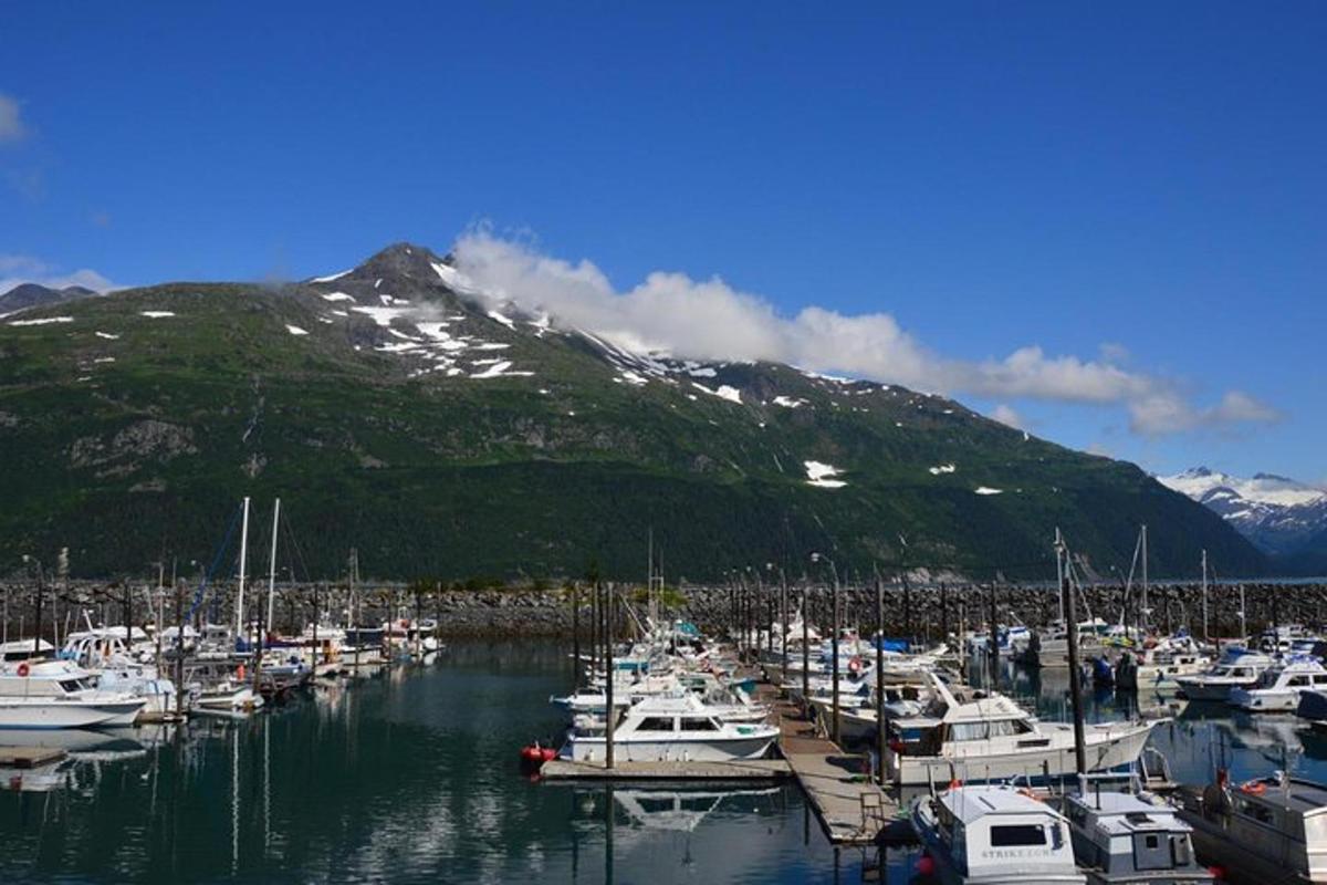 hópur báta lagðist að bryggju í höfn með fjalli