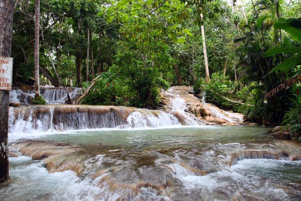 una cascata in mezzo a una foresta