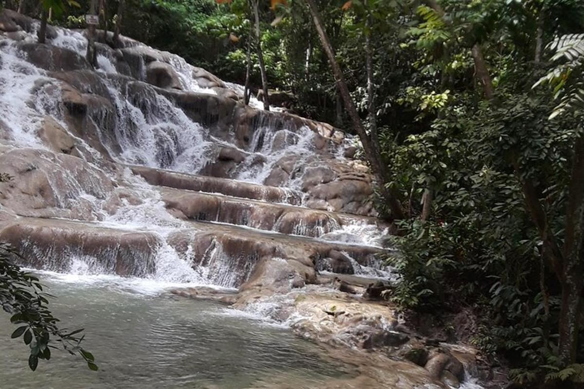 una cascata in mezzo a una foresta con scale