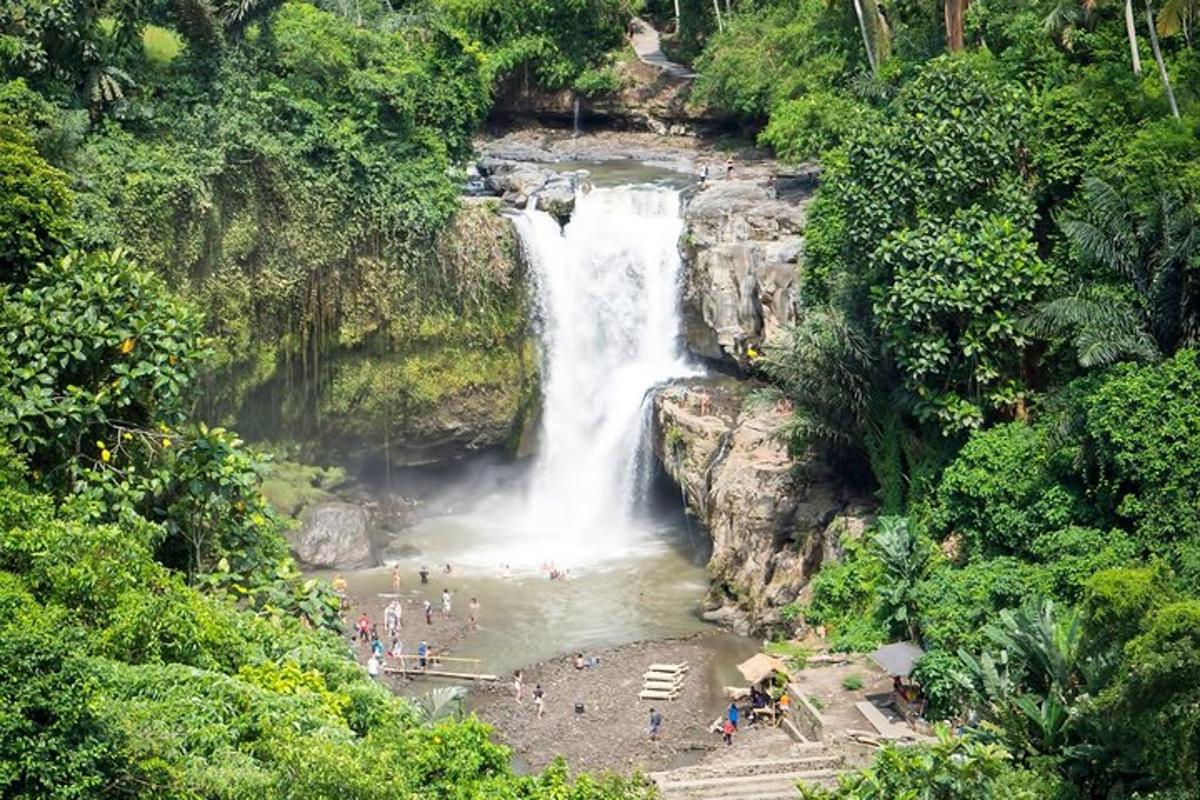 una cascada al mig d'una selva amb un grup de persones