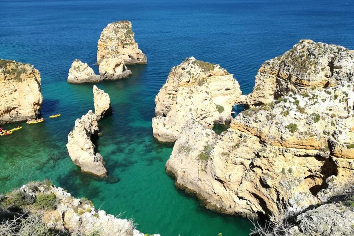 skupina skal ve vodě poblíž oceánu
