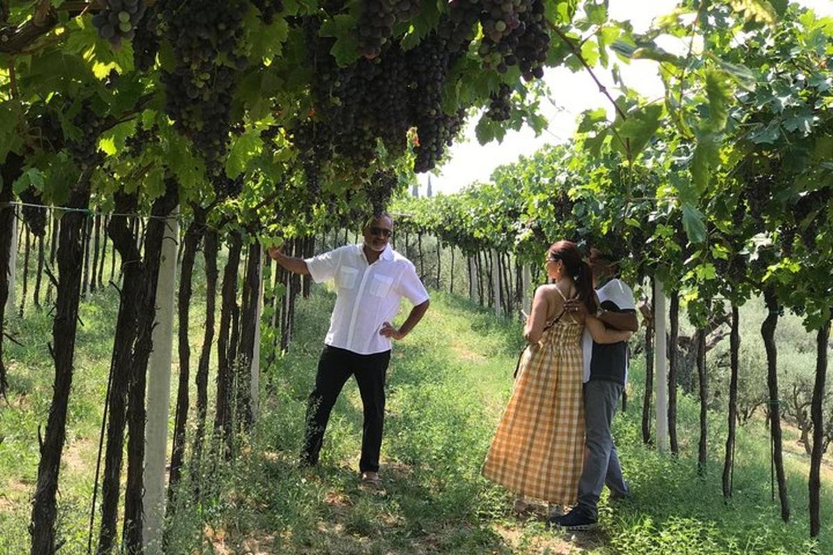 un uomo e una donna in piedi in una fila di alberi