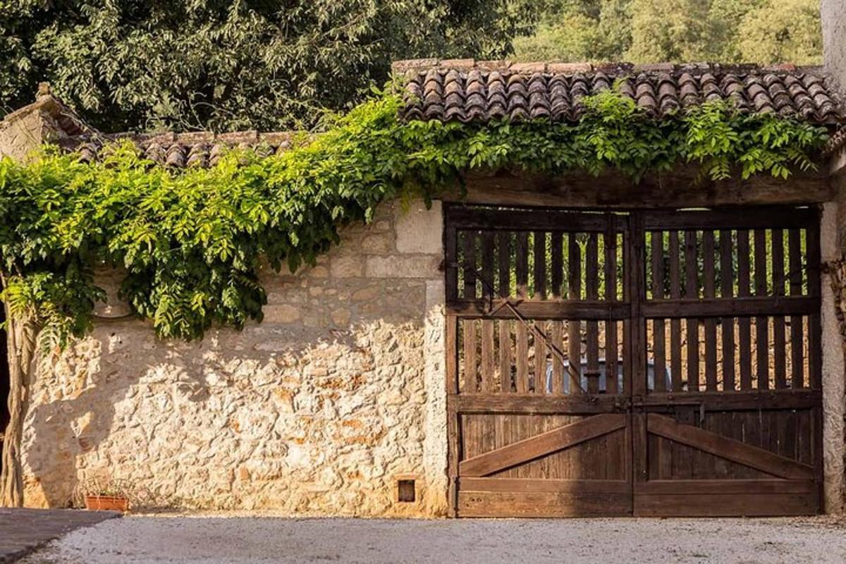 un edificio in pietra con una porta di legno e l'edera sopra
