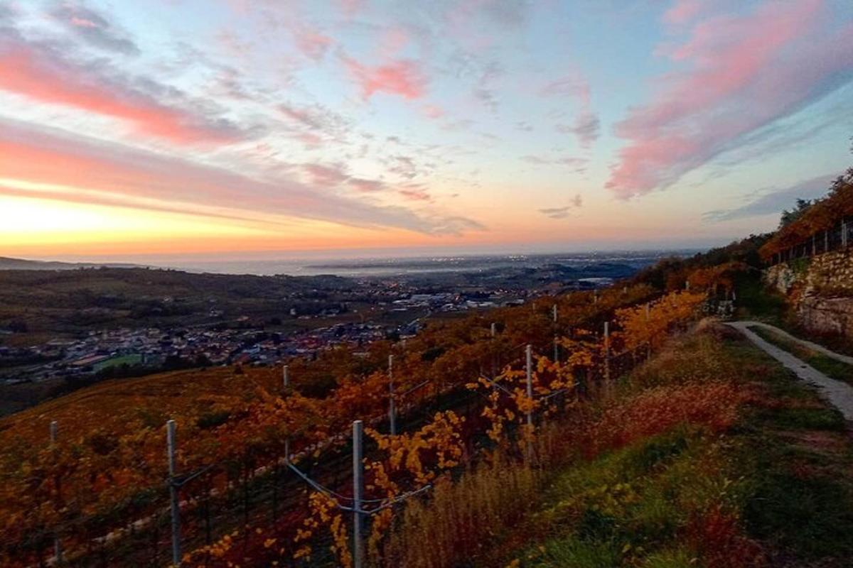 uma vista de uma cidade de uma colina ao pôr do sol