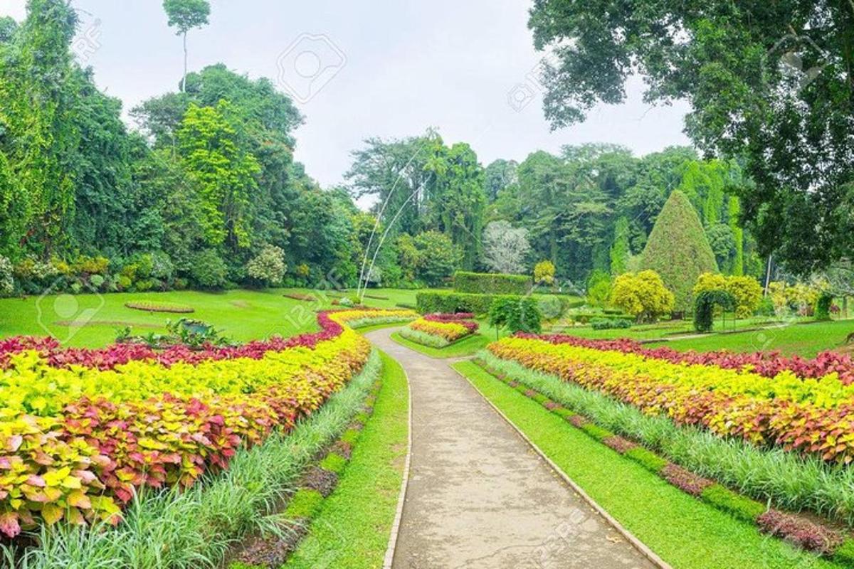 taman dengan bunga berwarna-warni di taman