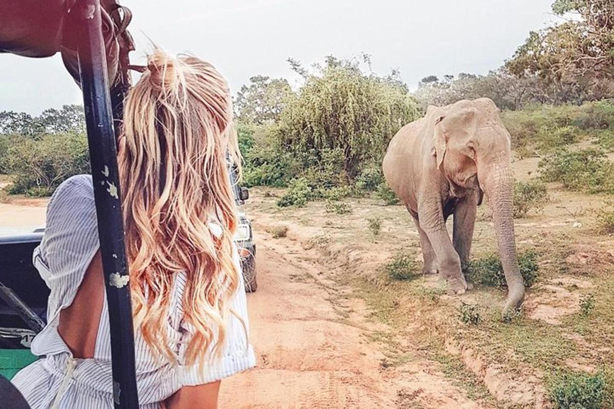 una dona mirant un elefant caminant per un camí de terra