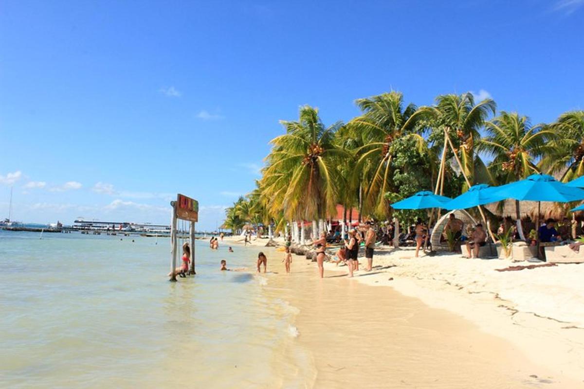 un gruppo di persone su una spiaggia con palme
