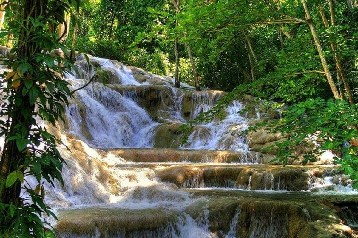 una cascata in una foresta con rocce e alberi