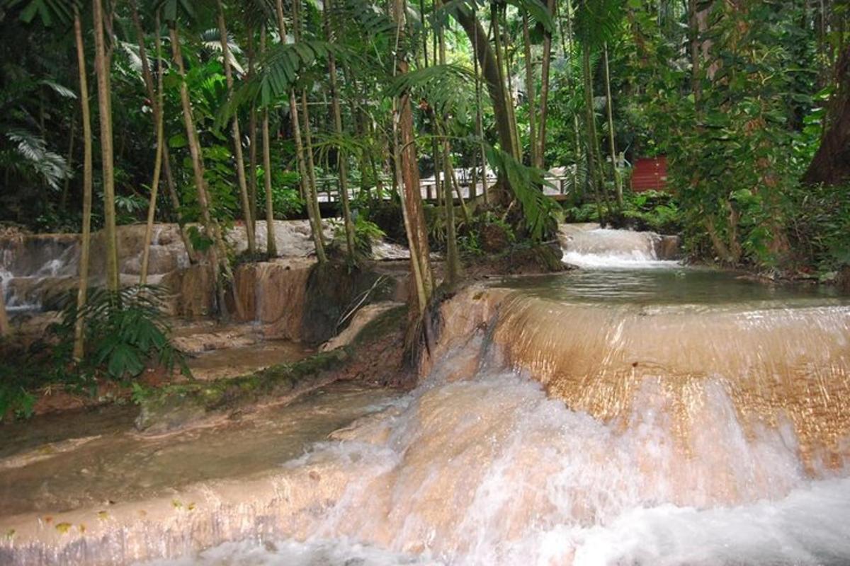 una cascada en medio de un bosque