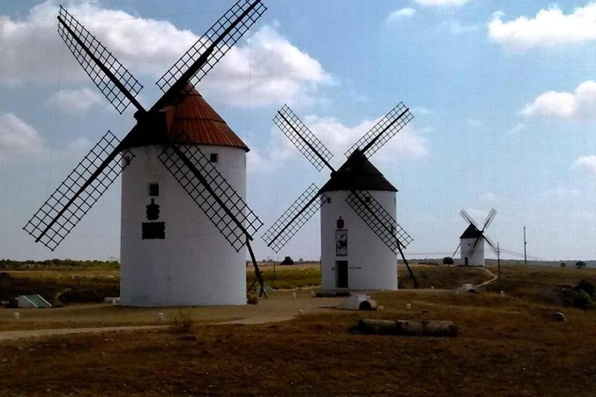 due mulini a vento in mezzo a un campo