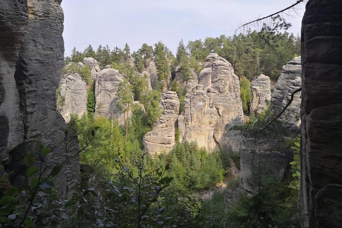 una vista de una montaña con árboles y rocas