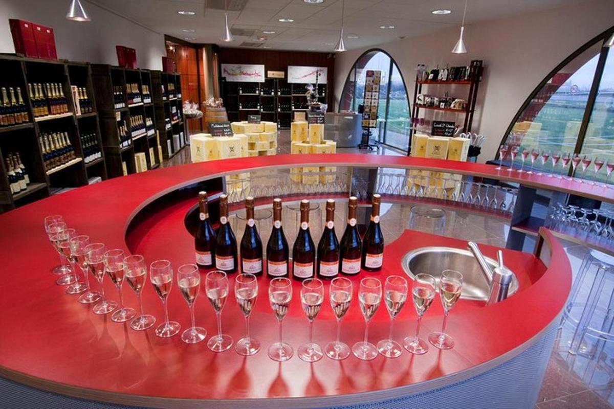 a counter with wine glasses and a sink in a store