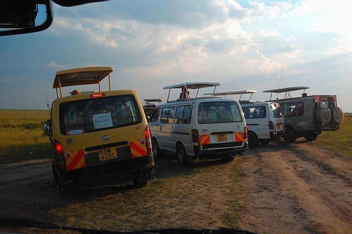 a group of vehicles parked on a dirt road